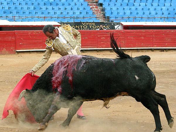 Arreaba con fuerza