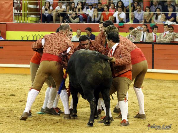 Pega de Justin Martins en Nazare