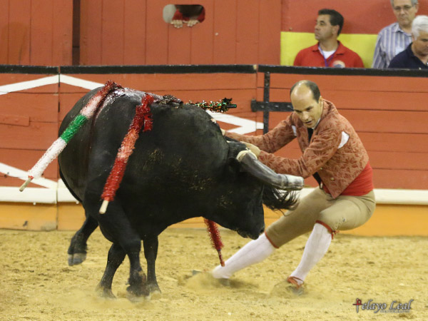 Hugo David, adorn�ndose