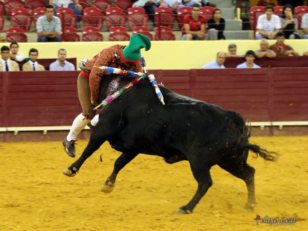 Man�fica reuni�n