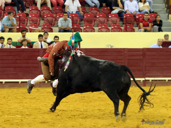 Aguantando el arre�n