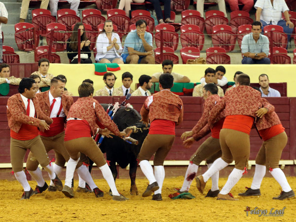 Auxiliando a sus compa�eros