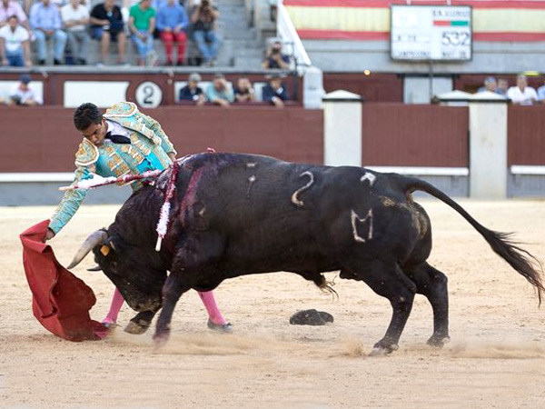 Sometiendo la embestida del quinto