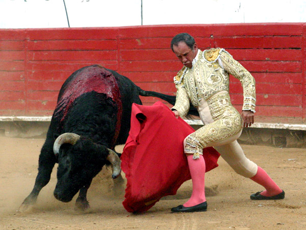 Un dobl�n muy torero