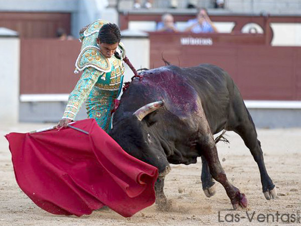 Feas hechuras de su primer novillo