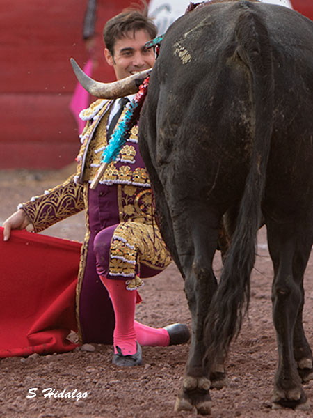Desplante torero