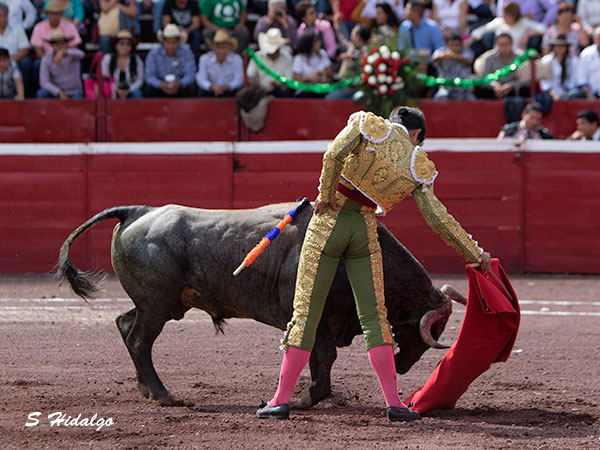 Metido en la muleta