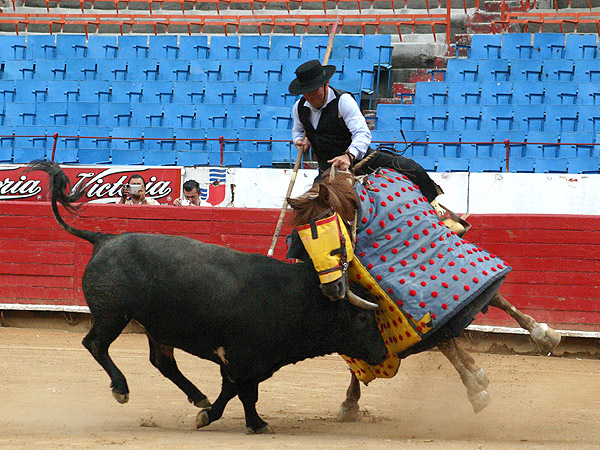 El puyazo del G�ero