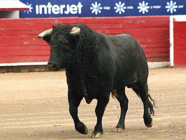 No se prest� al lucimiento