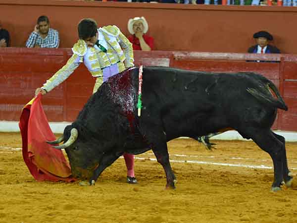 Comenz� la feria en San Luis