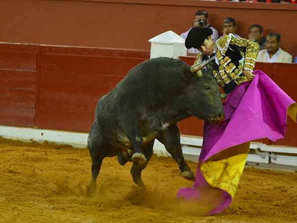 Parando al c�rdeno