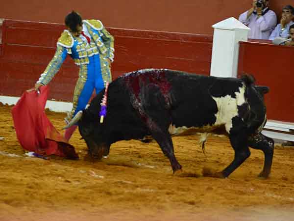 Derechazos al jir�n