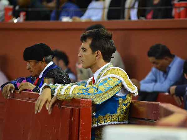 Director de la lidia