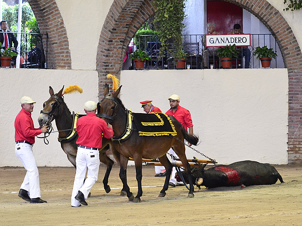 Merecido arrastre lento