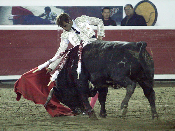 Meti�ndolo a la muleta