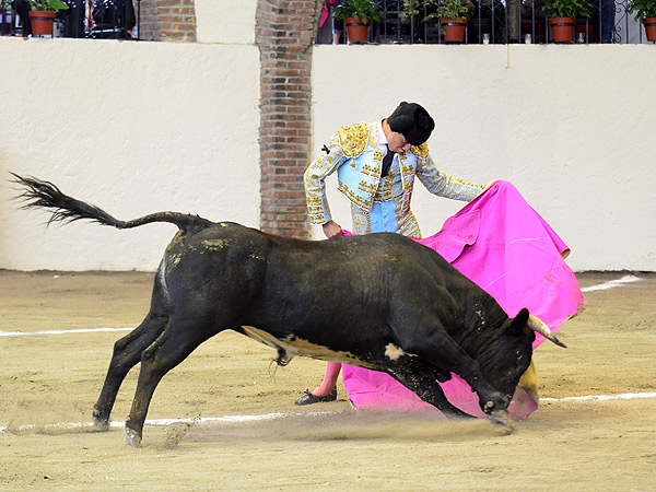 Empaque capotero de Hermosillo