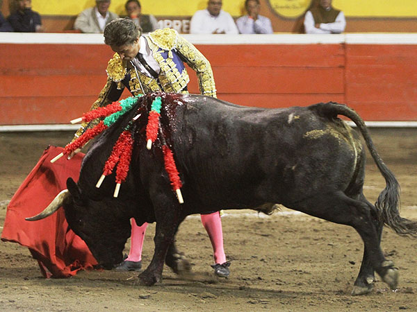 Madurez y se�or�o