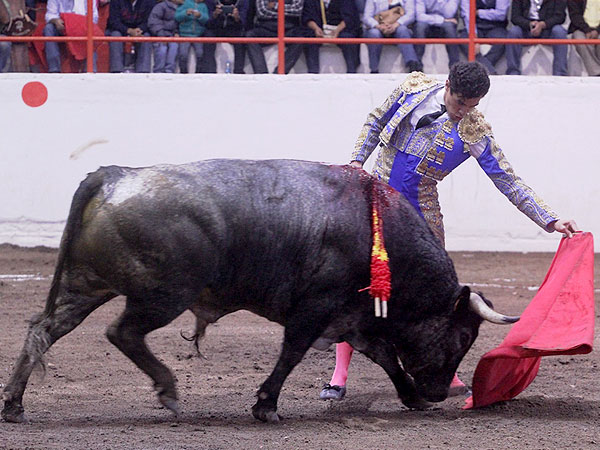 Brandon tarde de esfuerzo