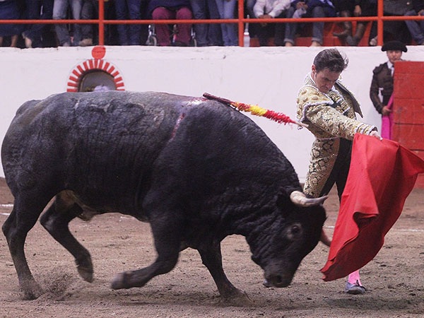 Pas�ndose todo el Toro