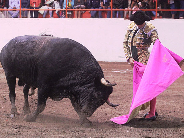 Jos� lanceando con elegancia