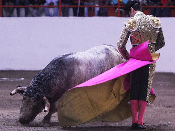 La elegancia de Jos� Mauricio