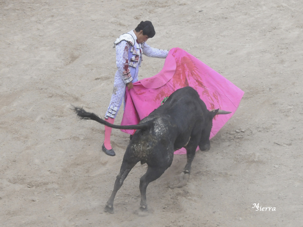 Las ver�nicas de Iv�n