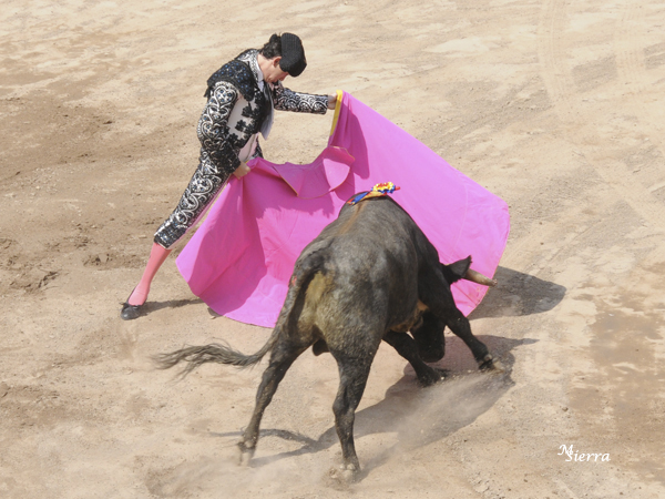 H�ctor, primer espada