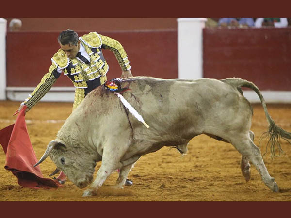 Entregado el jabonero