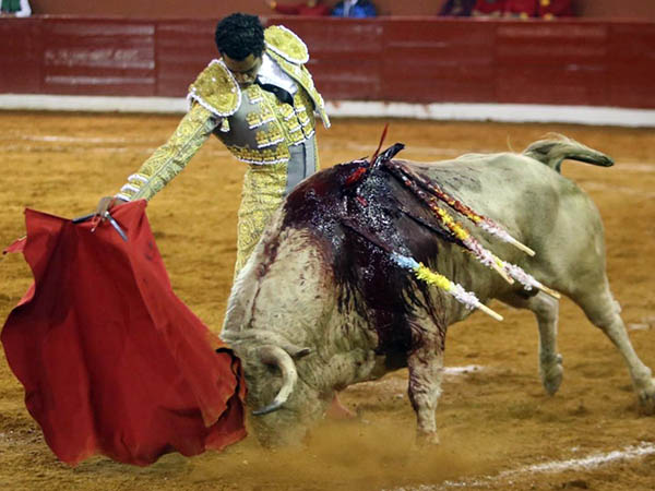 Muleta a media altura