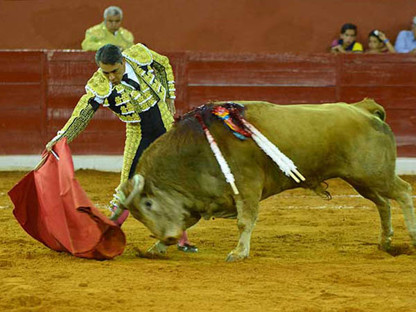 En la l�nea del ejemplar