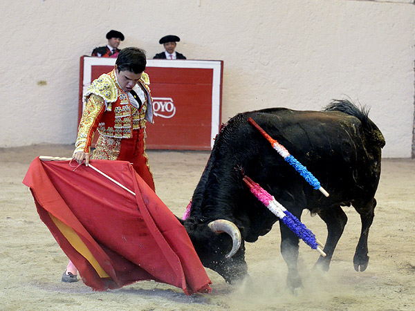 Afici�n s� le ech�