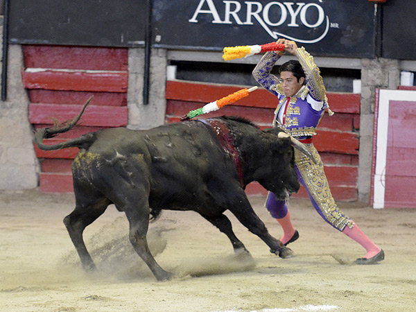 Exponiendo en banderillas