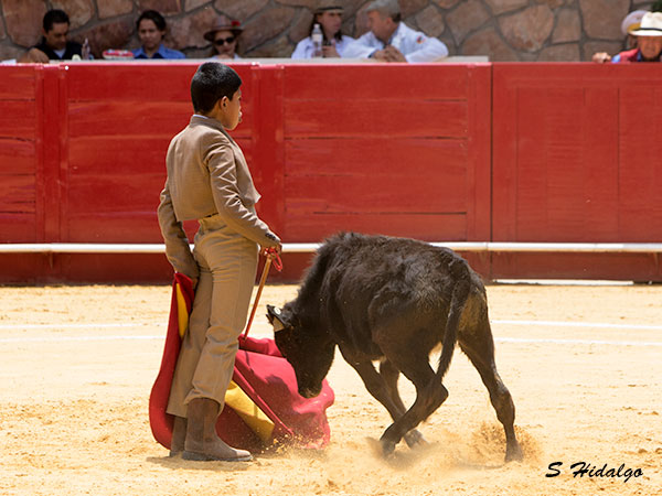 El desd�n, con su sello