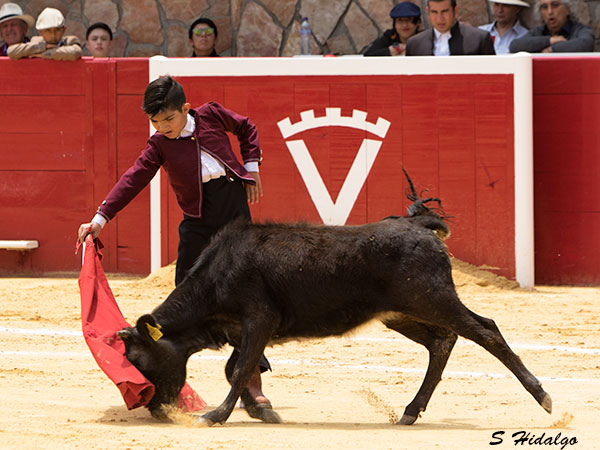 Santiago Ochoa, por buen camino