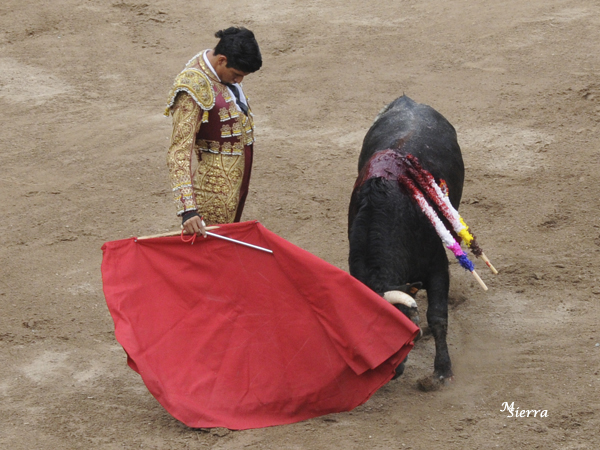 Templado pero sin ajustarse