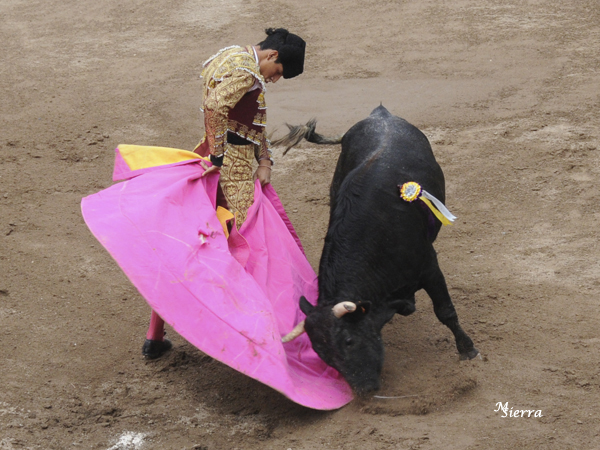 Mecida media ver�nica