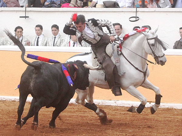 Vibrante con las cortas