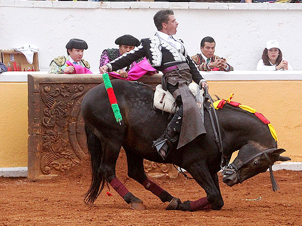 Elegancia y torer�a