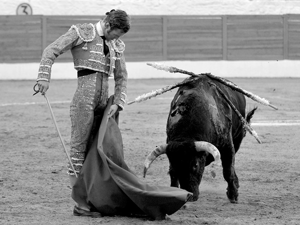 Mayest�tica trincherilla