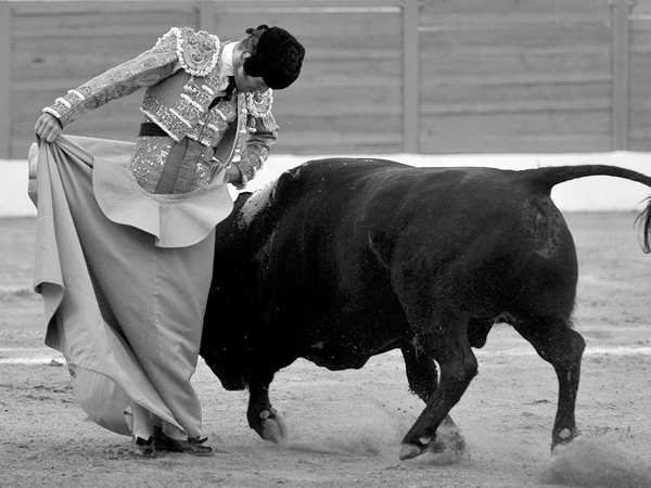 Una chicuelina con sello