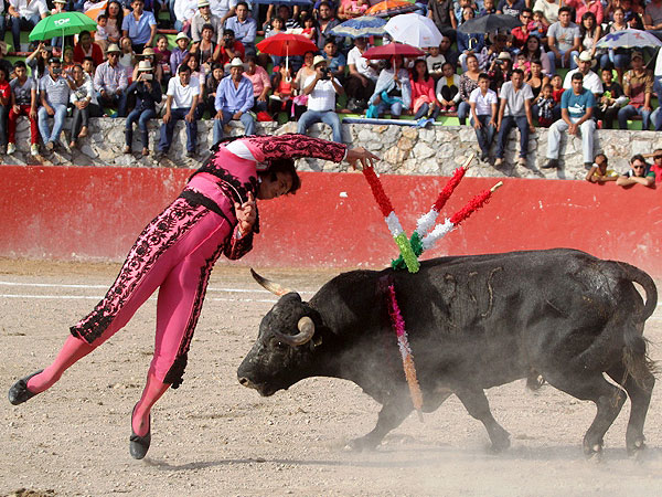 Extraordinario con las jaras