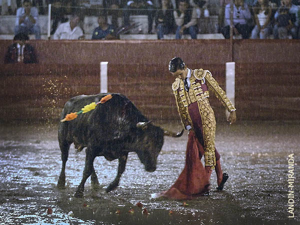 Dibuj� el toreo de calidad