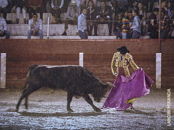 Concepto muy claro del toreo