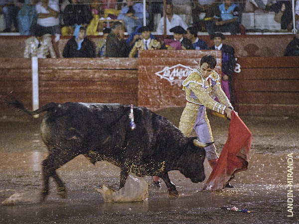Faena entrelazada con los charcos