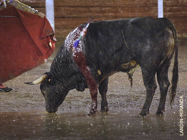 El ejemplar lleg� con sed