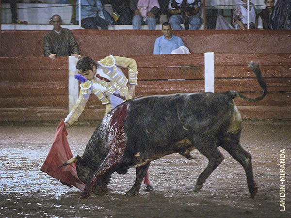 Con la muleta empapada