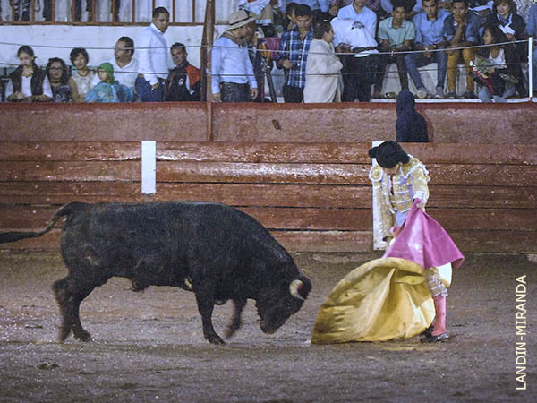 Los avances de Patricio Ochoa