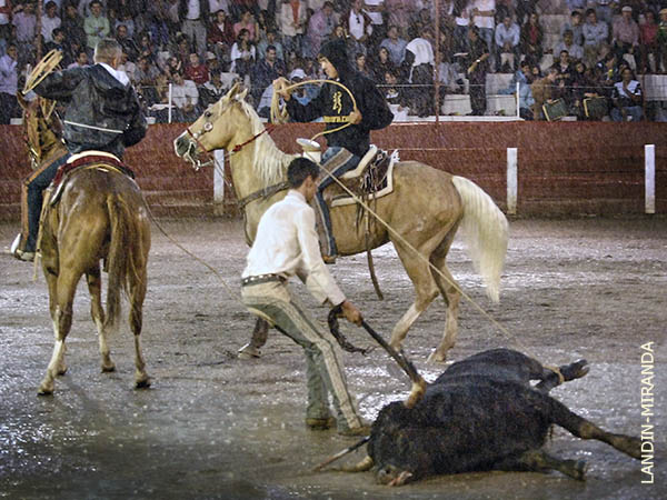 Refuerzo al tiro charro