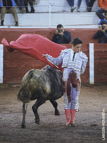 Ep�logo de la lidia