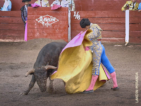 Ver�nicas de Nicol�s Guti�rrez